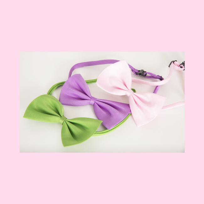 Bows for your Dog or Cat! In Green, Purple and Pink