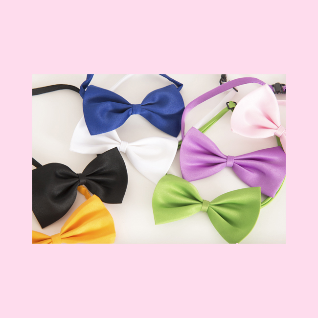 Bows for your Dog or Cat! In all colors