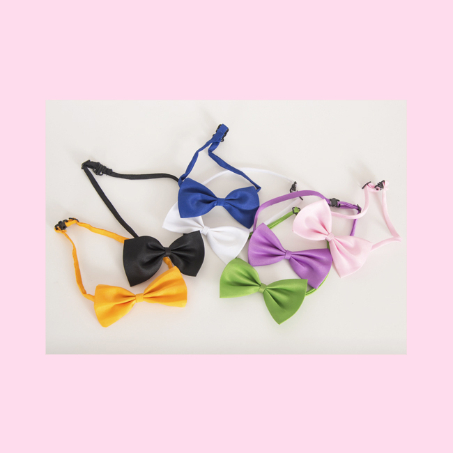 Bows for your Dog or Cat! In all colors 2