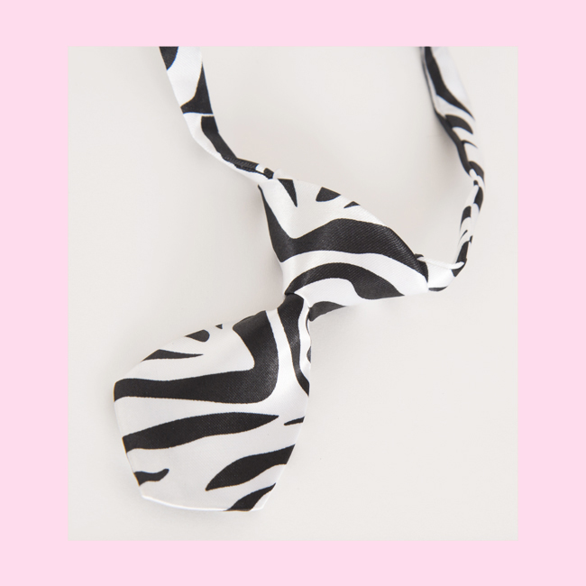 Zebra Print Tie for your Dog