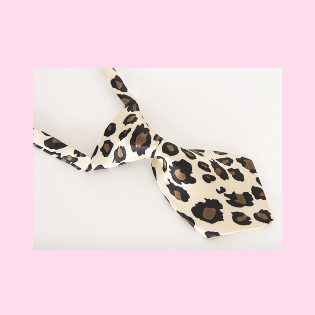 Leopard Print Tie for your Dog!