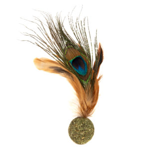 Peacock Feather Catnip Ball Cat Toy