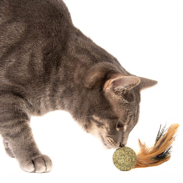 Peacock Feather Catnip Ball Cat Toy