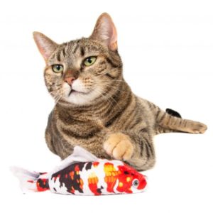 Silver Vine Japanese Koi Cuddle Fish