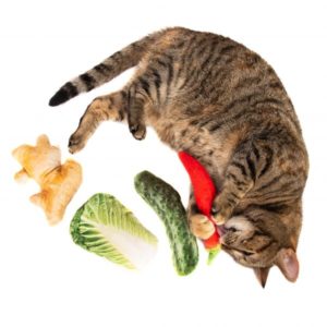 Silver Vine Jumbo Vegetable Cuddle Toy for Cats
