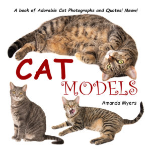 Cat Models Book