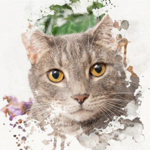 Watercolor Cat Portrait