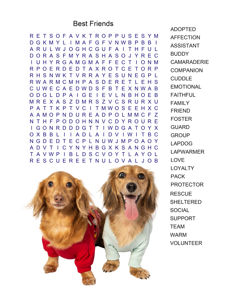 Dog Games - Sudoku Puzzles - Word Searches