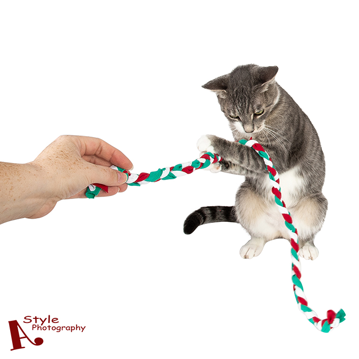 Pet Rope Toys